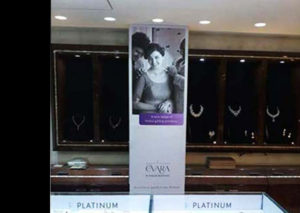 Read more about the article PLATINUM GUILD INDIA PVT.LTD